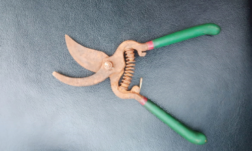 ആനീസ് കൊലക്കേസ്: കട്ടര്‍ കണ്ടെത്തി