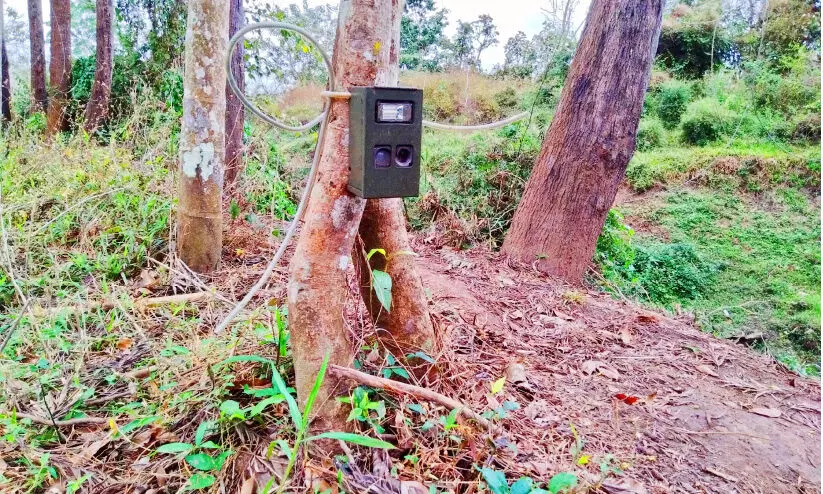 camera in forest