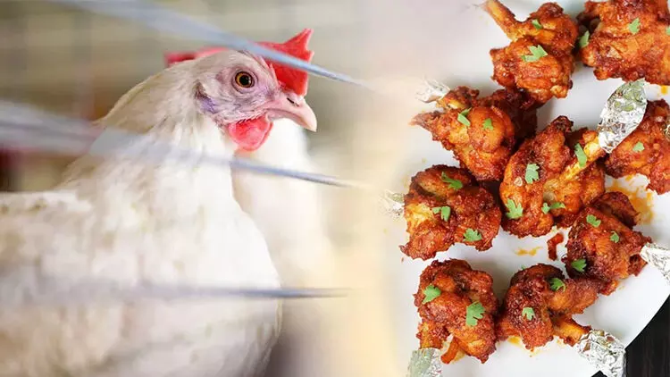 കോഴി വിൽപന നിരോധിച്ചത് പുനരാലോചിക്കണം; നന്നായി വേവിച്ചാൽ കഴിക്കാമെന്നും കേന്ദ്ര സർക്കാർ