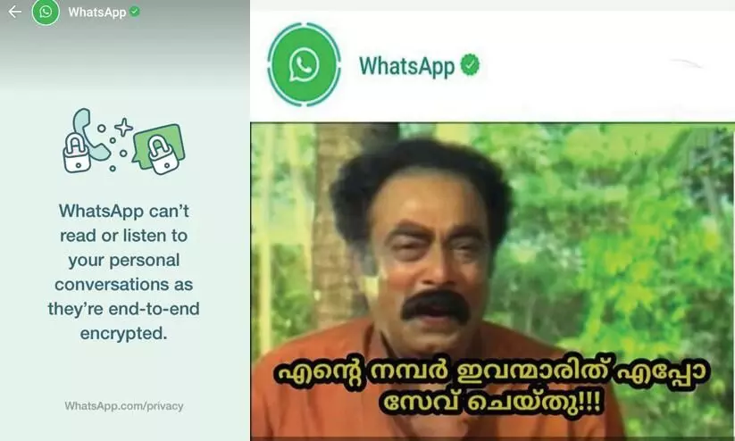 Whatsapp Trolls
