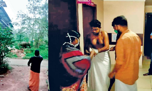 നിലമ്പൂർ നഗരത്തിലും കാട്ടാന​; ആക്രമണത്തില്‍ യുവാവിന്​ പരിക്ക്