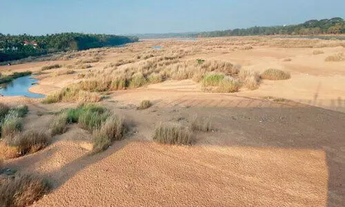 നിള മെലിഞ്ഞുതന്നെ; എങ്ങുമെത്താതെ സംരക്ഷണ പദ്ധതി