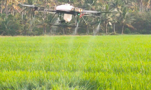 ഫോ​ട്ടോ പി​ടി​ക്കാ​ൻ മാ​ത്ര​മ​ല്ല; പാ​ട​ത്ത് മ​രു​ന്നു​ത​ളി​ക്കാ​നും ഡ്രോ​ൺ