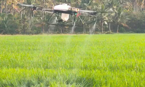 ഫോ​ട്ടോ പി​ടി​ക്കാ​ൻ മാ​ത്ര​മ​ല്ല; പാ​ട​ത്ത് മ​രു​ന്നു​ത​ളി​ക്കാ​നും ഡ്രോ​ൺ