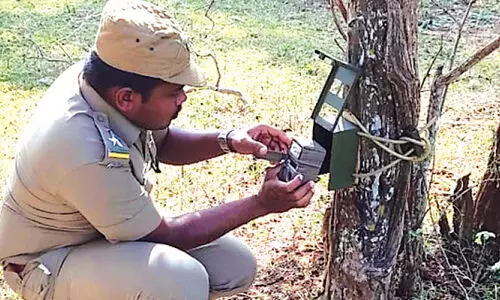 വന്യമൃഗ കണക്കെടുപ്പിന് 400 കാമറകൾ