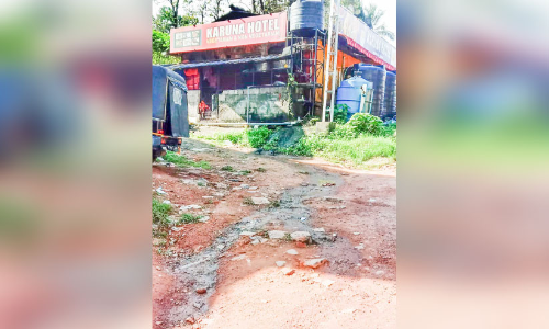 ഹോട്ടൽ മാലിന്യം പൊതുവഴിയിലേക്ക്​ ഒഴുക്കുന്നതായി പരാതി