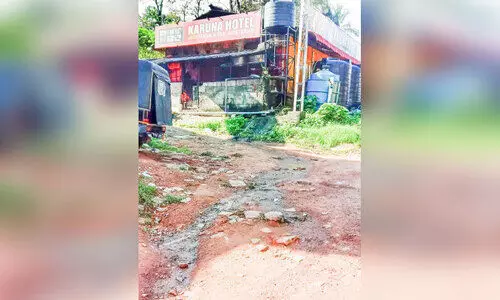 ഹോട്ടൽ മാലിന്യം പൊതുവഴിയിലേക്ക്​ ഒഴുക്കുന്നതായി പരാതി