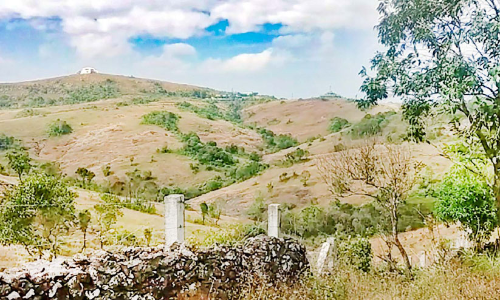 പട്ടയഭൂമിയിൽ അവകാശവാദവുമായി പൊലീസ്; ആശങ്കയിൽ ഭൂവുടമകൾ