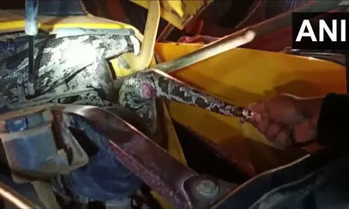 മണ്ണുമാന്തിക്കുള്ളിൽ കുടുങ്ങിയത് രണ്ടു പെരുമ്പാമ്പുകൾ