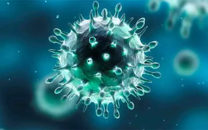 കോവിഡ്: 467 പുതിയ കേസുകൾ; 354 രോഗമുക്തി കോവിഡ്: 467 പുതിയ കേസുകൾ; 354 രോഗമുക്തി