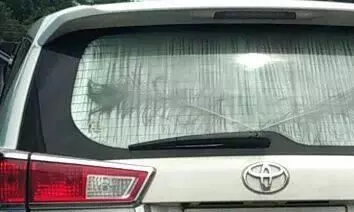 MVD directs to remove curtain, sun film from ministers’ cars