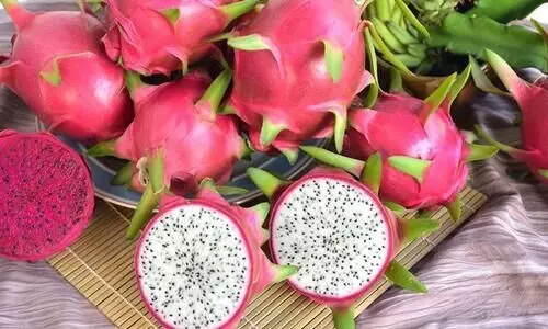Dragon Fruit