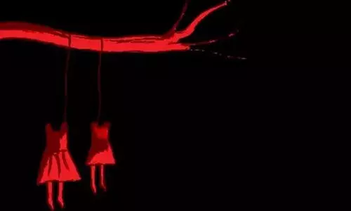 വാളയാർ കേസ്: തുടരന്വേഷണം ആവശ്യപെട്ട് പോക്സോ കോടതിയിൽ അപേക്ഷ സമർപ്പിച്ചു