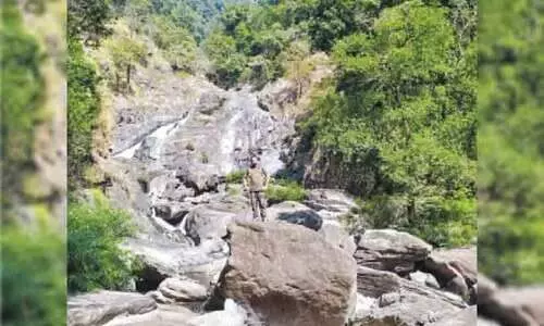 മെലിഞ്ഞുണങ്ങി മീൻമുട്ടി വെള്ളച്ചാട്ടം