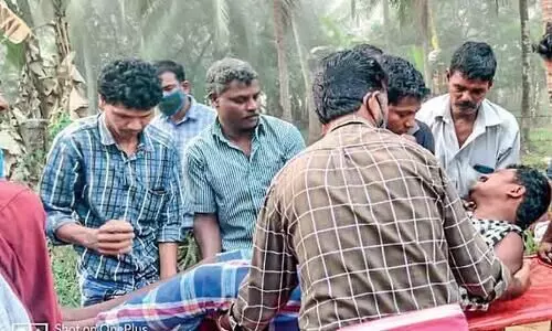 elephant: Planning Co. in that attack Injury to corporation workers