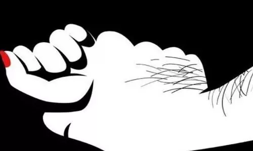 rape, young man was sentenced to life imprisonment and fined