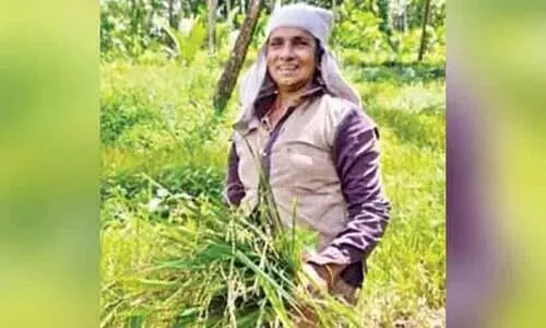 ഡോളിയുടെ പച്ചപ്പിലേക്ക് പുരസ്കാരം ഡോളിയുടെ പച്ചപ്പിലേക്ക് പുരസ്കാരം