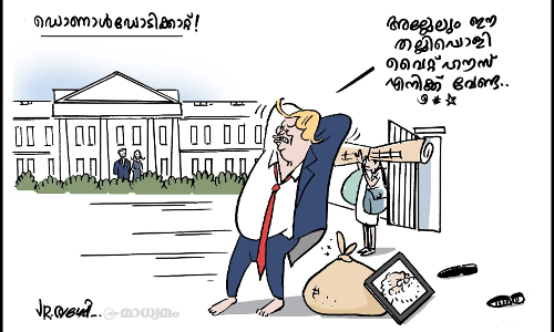 ഡൊണാൾഡോടിക്കാറ്റ്!