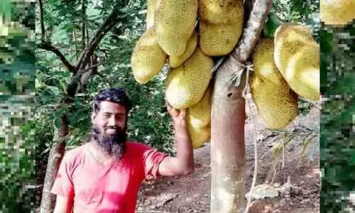 പഠന​േത്താടൊപ്പം കൃഷിയിലും മിന്നി അനിൽ