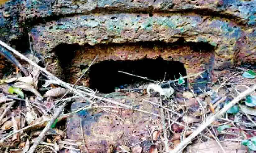 മഹാശില സ്മാരക ഗുഹകൾ കണ്ടെത്തി