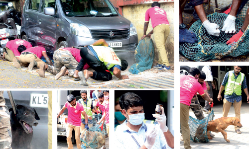 തെരുവ് ഭരണം മതി;ഇനി   അൽപം നിയന്ത്രണം