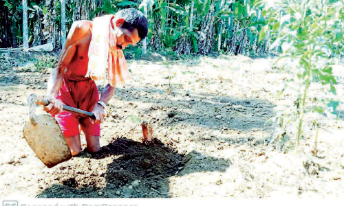 പരിമിതികളോട് പൊരുതി അരുൺ; അംഗീകാരമായി സർക്കാർ ആദരം