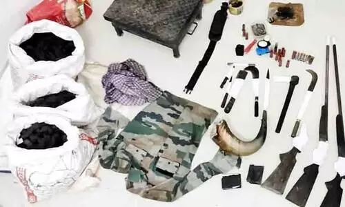 forest seized a firearm and 49 kg of wild buffalo meat