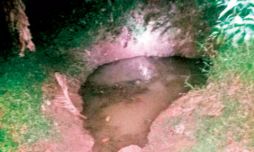 നാ​ടി​ൻ നൊ​മ്പ​ര​മാ​യി കു​ട്ടി​ക​ളു​ടെ ദാ​രു​ണാ​ന്ത്യം