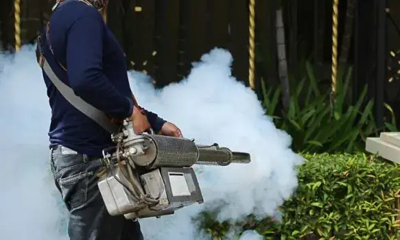 കൊതുകുനിവാരണം: ഫോഗിങ്​ ഗു​രു​ത​ര പ്രശ്​നങ്ങൾ സൃഷ്​ടിക്കു​െന്നന്ന്​ ആരോഗ്യവിഭാഗം