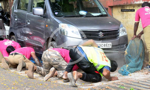 കളി പൊലീസിനോട് വേണ്ട, മലപ്പുറത്തെ തെരുവു നായ്ക്കൾക്കും കിട്ടി ഉഗ്രൻ പണി