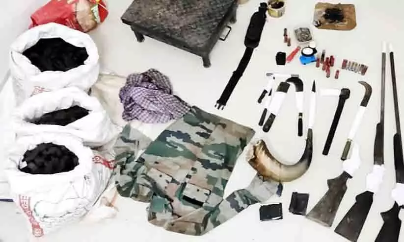 forest seized a firearm and 49 kg of wild buffalo meat forest seized a firearm and 49 kg of wild buffalo meat