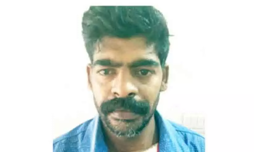 Man arrested for trying to rape girl