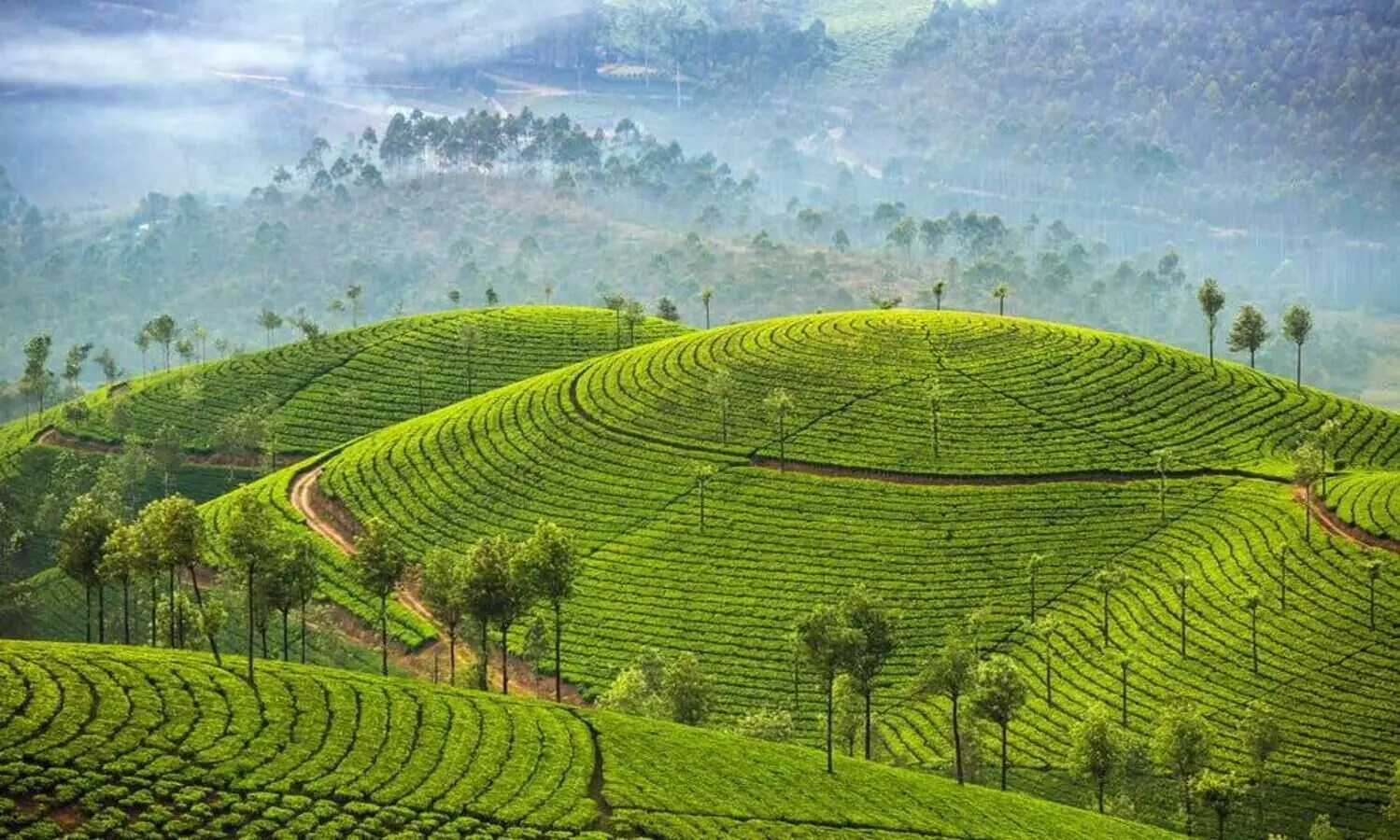 munnar