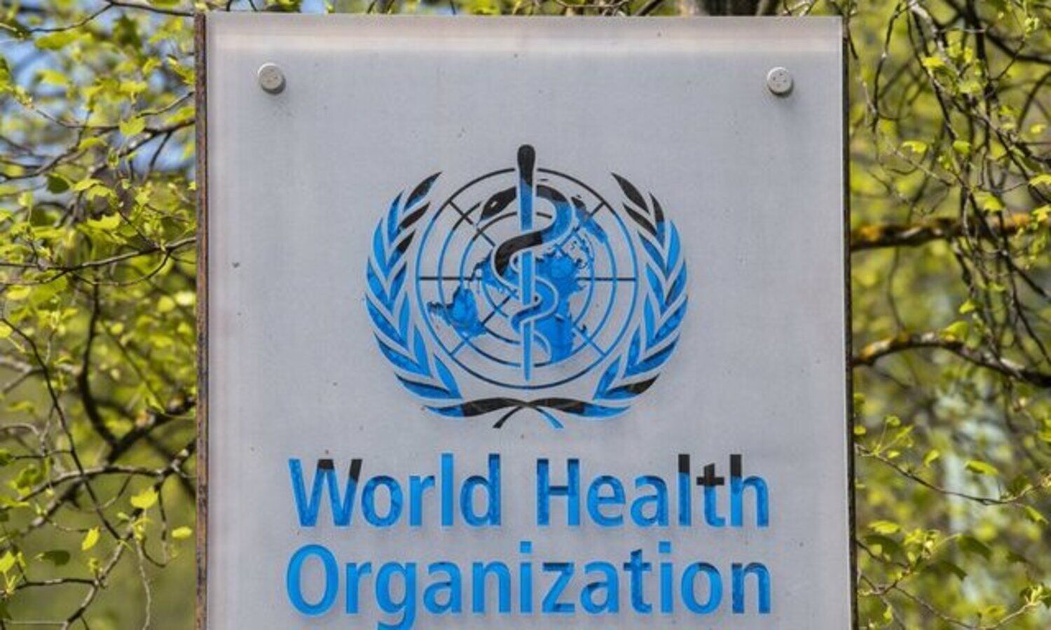 കോവിഡ്​ പ്രതിരോധം: ഇന്ത്യക്ക്​ നന്ദിയറിച്ച്​ ലോകാരോഗ്യ സംഘടന