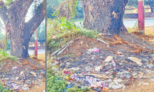 പരിസ്ഥിതി പ്രവർത്തകരുടെ ബോധവത്​കരണം തണൽ മരത്തി​ൻെറ ജീവൻ രക്ഷിച്ചു