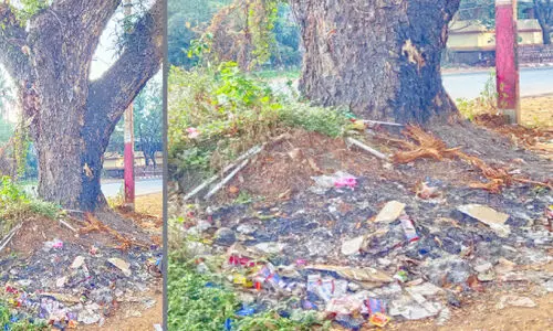 പരിസ്ഥിതി പ്രവർത്തകരുടെ ബോധവത്​കരണം തണൽ മരത്തി​ൻെറ ജീവൻ രക്ഷിച്ചു