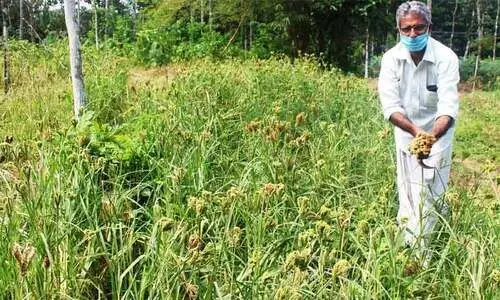 ഷാജിഖാന്‍