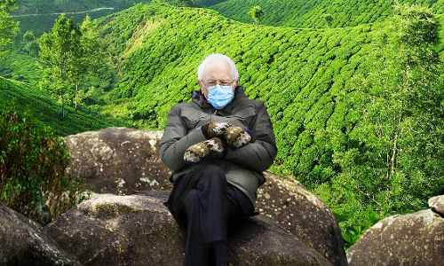 മൂന്നാറിലെ തേയിലത്തോട്ടത്തിലും ബെർനി സാൻഡേഴ്സ്; മീം ഏറ്റെടുത്ത് കേരള ടൂറിസവും മൂന്നാറിലെ തേയിലത്തോട്ടത്തിലും ബെർനി സാൻഡേഴ്സ്; മീം ഏറ്റെടുത്ത് കേരള ടൂറിസവും