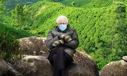 മൂന്നാറിലെ തേയിലത്തോട്ടത്തിലും ബെർനി സാൻഡേഴ്​സ്;​ മീം ഏറ്റെടുത്ത്​ കേരള ടൂറിസവും