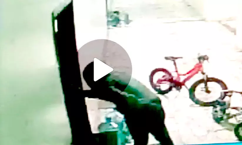 ദ​മ്മാ​മി​ൽ ഫ്ലാ​റ്റു​കളിൽ ക​വ​ർ​ച്ച തു​ട​ർ​ക്ക​ഥ; കു​ടും​ബ​ങ്ങ​ൾ ആ​ശ​ങ്ക​യി​ൽ