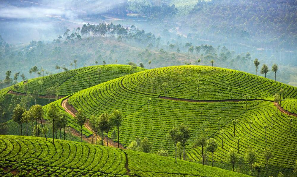 munnar munnar