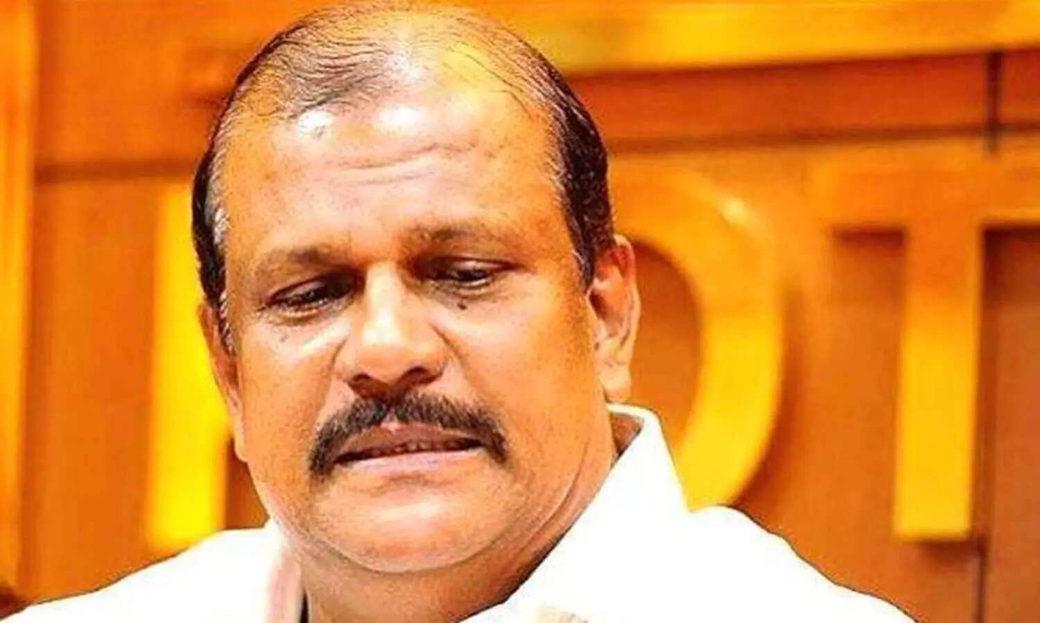 നിയമസഭ ശാസിച്ച പി.സി ജോർജിനെ തെരഞ്ഞെടുപ്പിൽ മൽസരിപ്പിക്കരുതെന്ന് ആനി രാജ