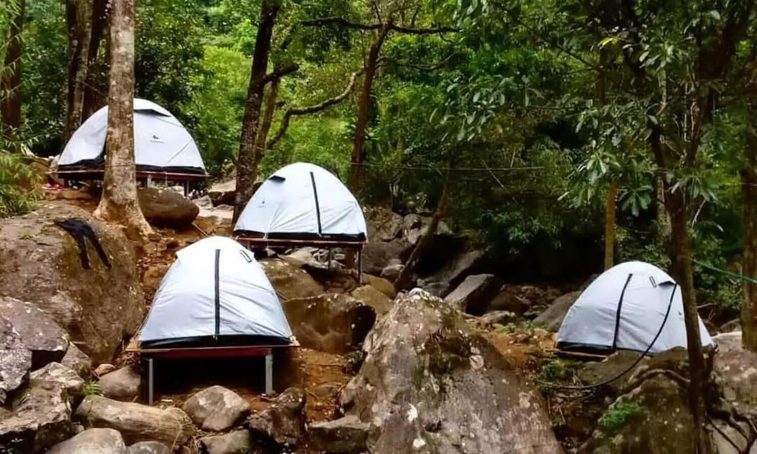 rain forest resort wayanad