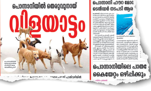 തെ​രു​വു​നാ​യ് നി​യ​ന്ത്ര​ണം:ഫെ​ബ്രു​വ​രി 12ന​കം   എ.​ബി.​സി പ​ദ്ധ​തി