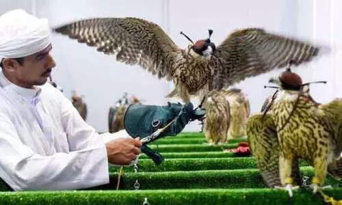 അ​ബൂ​ദ​ബി അ​ഡി​ഹെ​ക്‌​സ് 18ാം പ​തി​പ്പ് സെ​പ്റ്റം​ബ​റി​ൽ