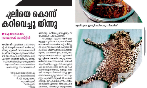 പുലിവേട്ട: മൂന്നാർ മേഖലയിൽ പ്രത്യേക പരിശോധന; ഡി.എഫ്.ഒയുടെ നേതൃത്വത്തിൽ സ്ക്വാഡ് പുലിവേട്ട: മൂന്നാർ മേഖലയിൽ പ്രത്യേക പരിശോധന; ഡി.എഫ്.ഒയുടെ നേതൃത്വത്തിൽ സ്ക്വാഡ്