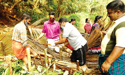 കലക്ടർ തോട്ടിലിറങ്ങി; തടയണ നിർമാണം ആഘോഷമായി