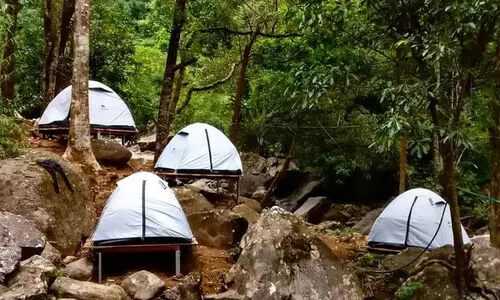 കാട്ടാനയുടെ ആക്രമണം: റിസോര്‍ട്ട് അടച്ചുപൂട്ടാൻ ഉത്തരവ്​