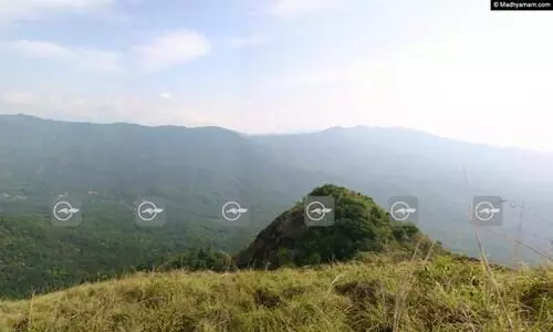 ദൃ​ശ്യ​ഭം​ഗിയൊരുക്കി പാലുകാച്ചി​മല; വഴിയില്ലാതെ കുടുങ്ങി സ​ഞ്ചാ​രി​ക​ള്‍