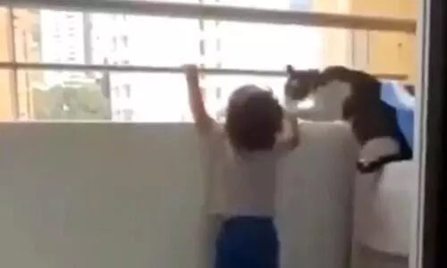 എത്തിനോക്കല്ലേ ചെക്കാ, വീഴും -എ​​ന്തൊരു കരുതലാണീ പൂച്ചക്ക്​